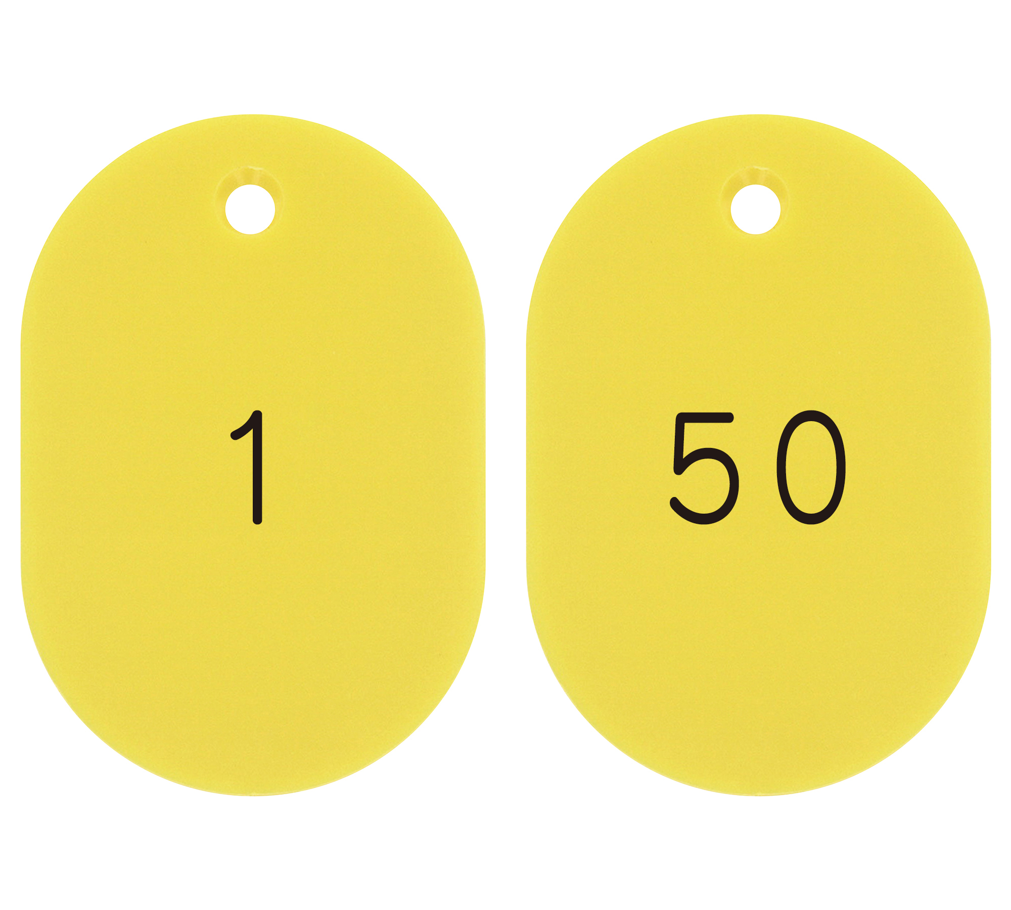 番号小判札　大サイズ  200201　小判札604-Y