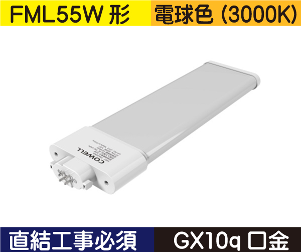コンパクト蛍光灯形（FML55W形） 直結工事必須 電球色（3000K） FML20L1D