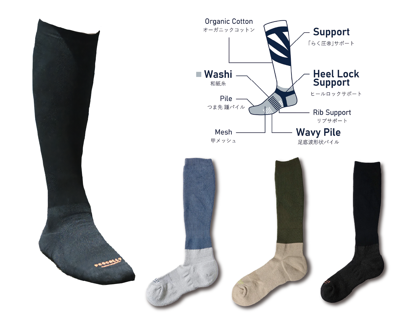 JAPPY 高機能靴下ＰＥＳＣＡＬＬＹ ＰＥＳ－ＢＧ－ＪＰ