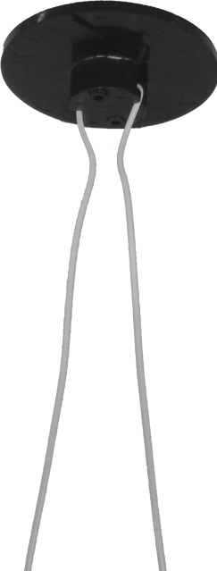 JAPPY パイピタ　白 ＰＰ１９Ｗ－ＪＢ