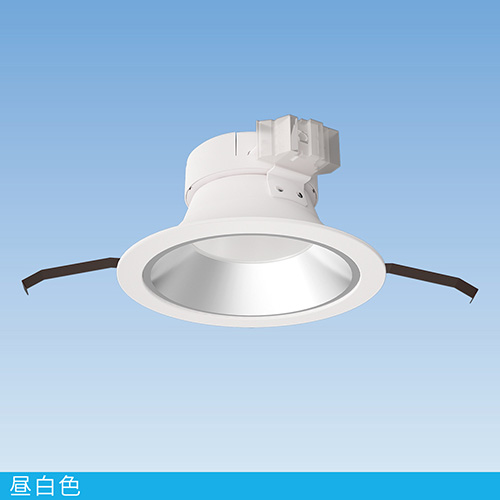 8W型 LEDダウンライト / 昼白色　　白熱灯100W相当　LU-DL15N8M10-80L