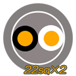 VVR(SV)22sq×2C　50m