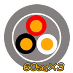 VVR(SV)60sq×3C　50m