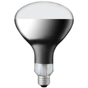 【在庫限り品】アイ赤外線電球　メーカー:岩崎　型式:IR100/110V250WRH